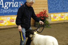 2008