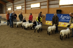Bild 050