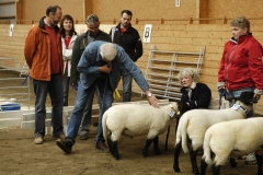 Bild 053