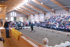 2010