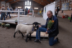 Almnäs blev bästa Suffolk på auktionen