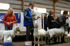 anders kamra 120910 094