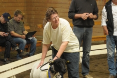 Bild 041