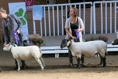 Bäst in Show