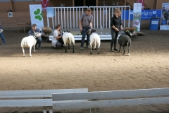 Bäst in Show