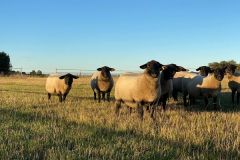 118621300_10157723406801033_4351144676317268042_o