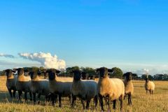 118627102_10157723406686033_8897946765654488615_o