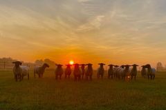 119482358_10157762517076033_1736786985281941643_o