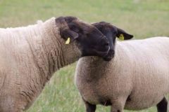 119939194_10157777759531033_28941842096272964_o