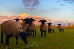 1_115643005_10157631584741033_4215554659742023337_n