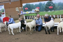 Bäst in Show