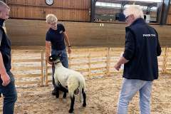 Tore Carl och Richard