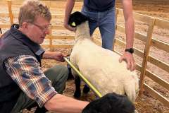 Anders mäter höjd längd och bredd